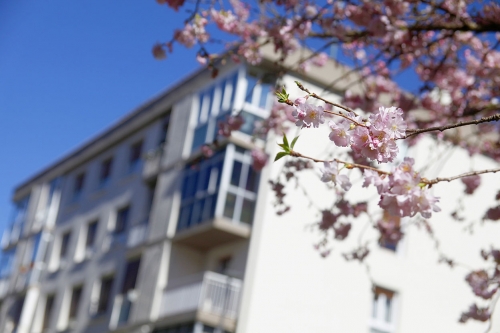 Rehabilitación de fachada completa de edificio en Irun
